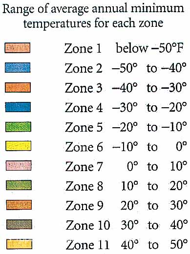 Zone Map Index